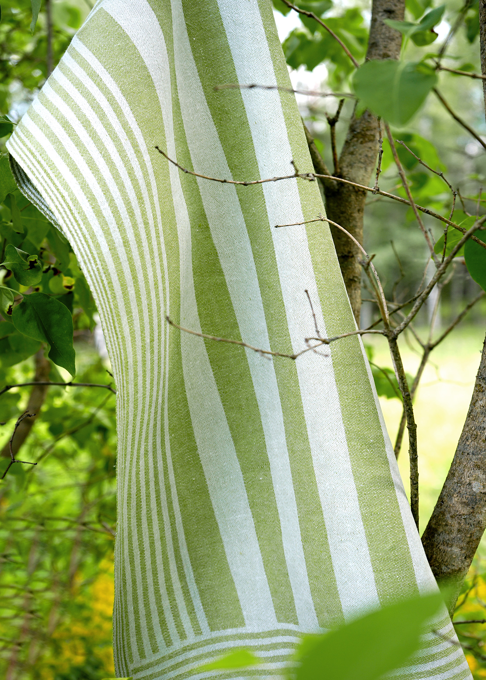 Randig linblomsgrön handduk klässbols